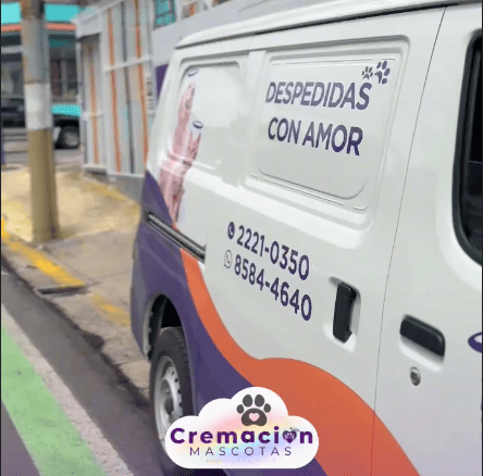 Cremación individual de mascotas