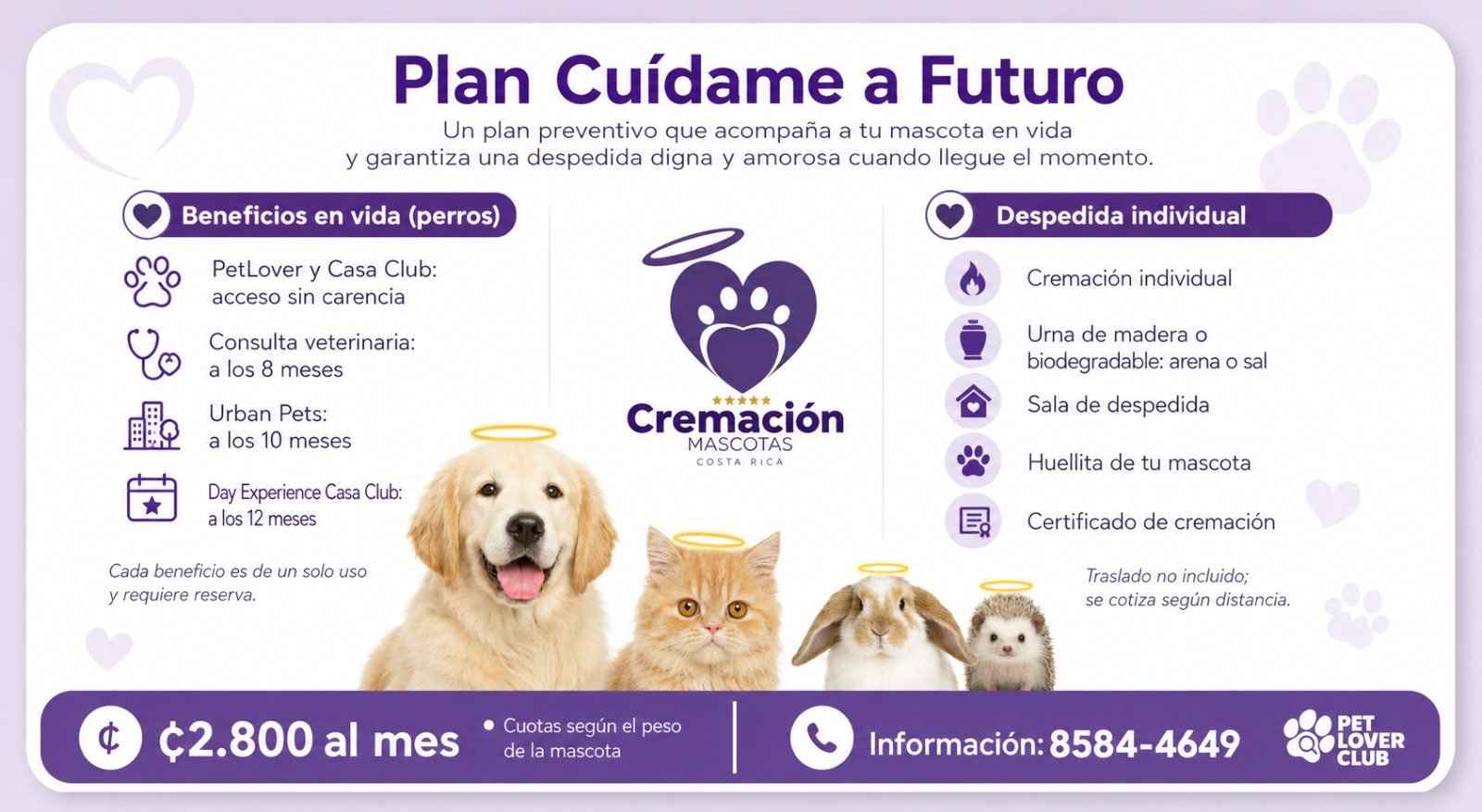 Plan Cuídame a Futuro con beneficios en vida y despedida digna
