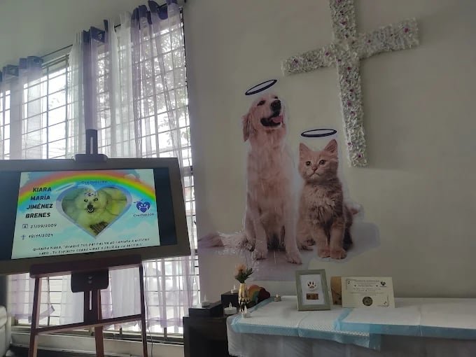 Recuerdo y homenaje para una mascota querida